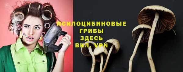 стаф Балабаново