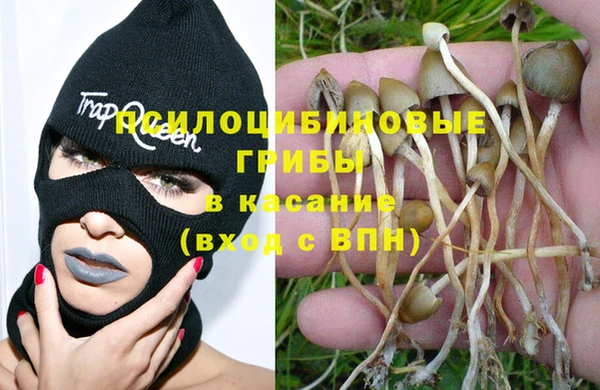 стафф Балахна