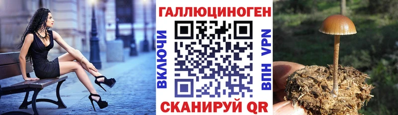 наркошоп  Кудрово  Псилоцибиновые грибы MAGIC MUSHROOMS 